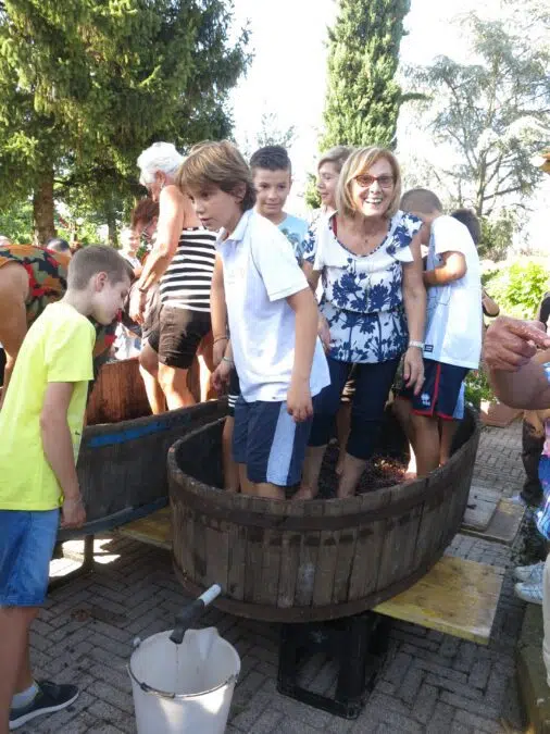 People stomping on grapes to make wine