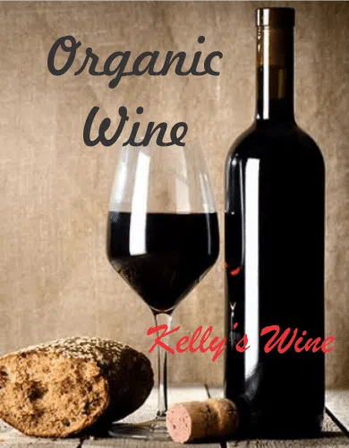 an open bottle of red wine and a glass of red wine