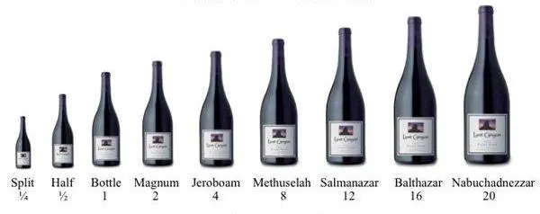 A Guide to Wine Bottles