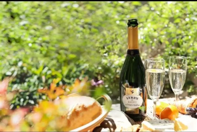 The Rise of Low and No-Alcohol Wines: A Trend That’s Here to Stay