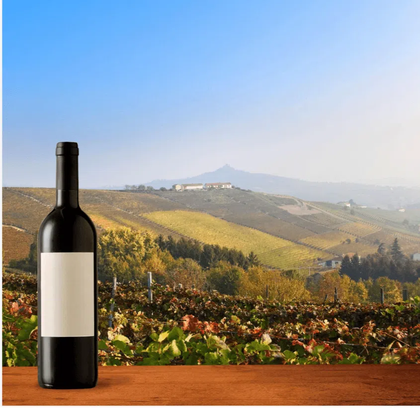 Two wine bottles showing different environmental label designs, illustrating sustainability claims and wine certification.
